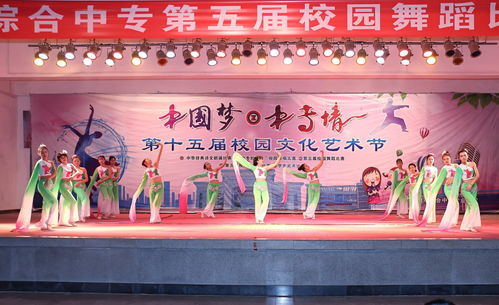 舞動精彩，炫出自我——記第十五屆校園文化藝術節舞蹈比賽決賽